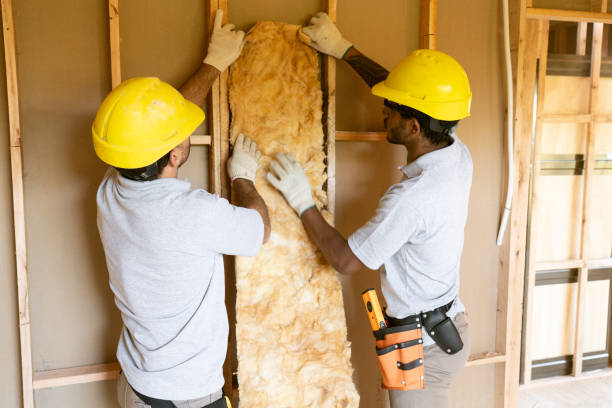 Best Blown-In Insulation  in Bryn Mawr, PA